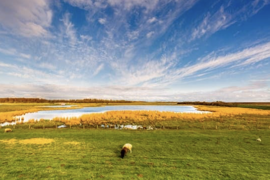 Einfach Verbeamtet: Vorbereitungsdienst in Schleswig-Holstein: Ablauf, Dauer, Status und wichtige Absicherungen