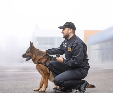Polizei Bayern: Ausbildung, Studium, Bewerbung und Gehalt im Detail